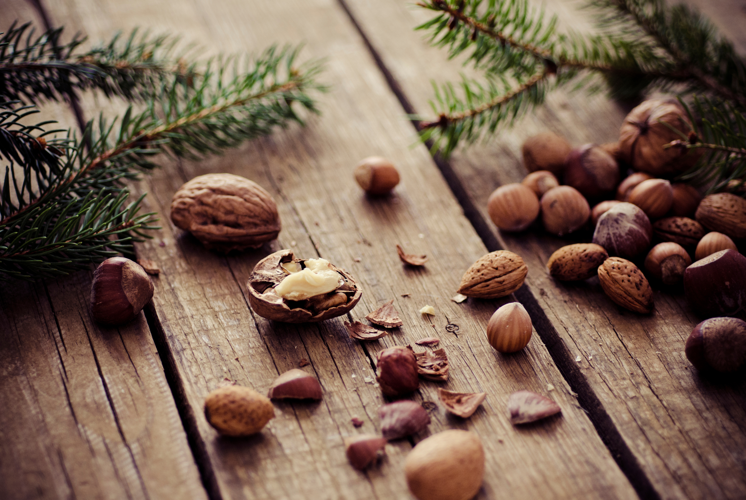 Der Weihnachtswald …